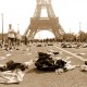 Paris Marathon