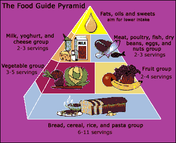 The Food Guide Pyaramid