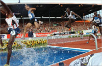 Brahim Boulami hurdling to the record