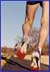 10k Training Programs