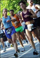 Training Images
