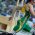 SASCOC congratulates Pistorius