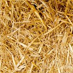 Felix Limo announces international retirement