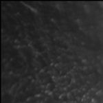 Phalula twins Totalsports Womens Race Winners