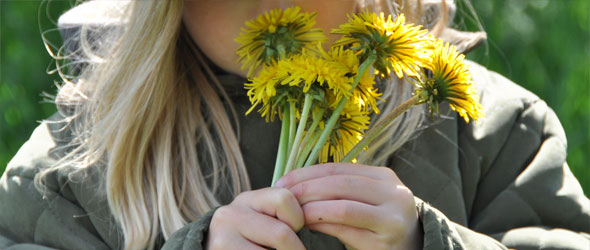 Hay fever or Pollinosis – Upper Respiratory Infections