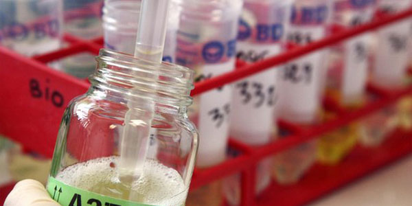 World Marathon Majors increases testing