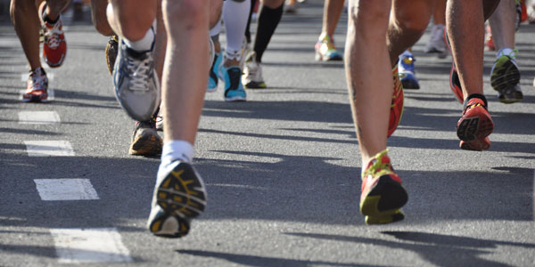 Anatomical Factors of Running