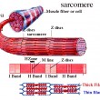 sacromere - z discs