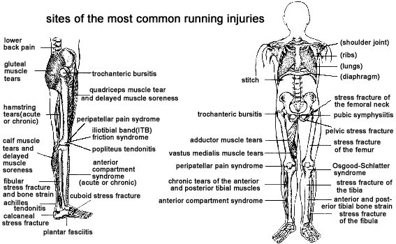 Injury Guide