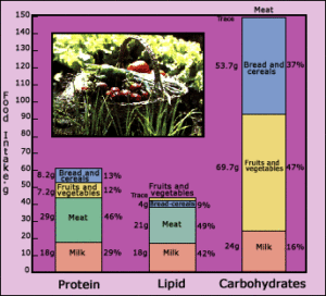 Protein Lipid Carbohydrates