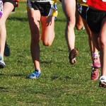 Secondary Schools Cross Country Champs 2015