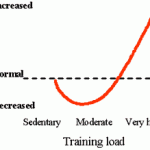Exercise and the Immune system
