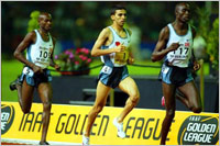 Lagat close to El Gerrouj