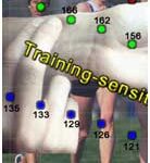 Aerobic power utilising Heart Rate