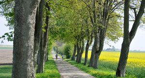 running - why she runs running - why she runs